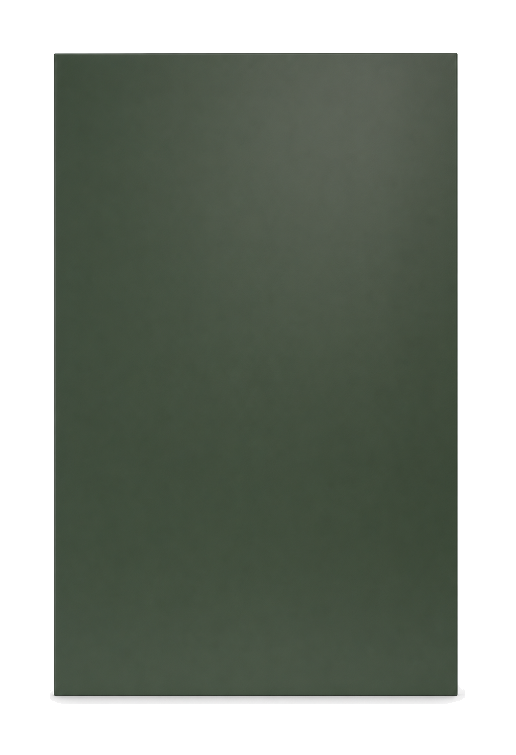 Salcombe — Painted Slab custom cabinet door in Studio Green